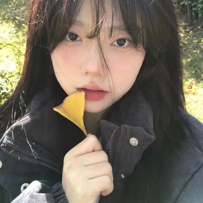 黛玉传